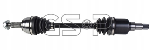 Poloosa 202853 Gsp