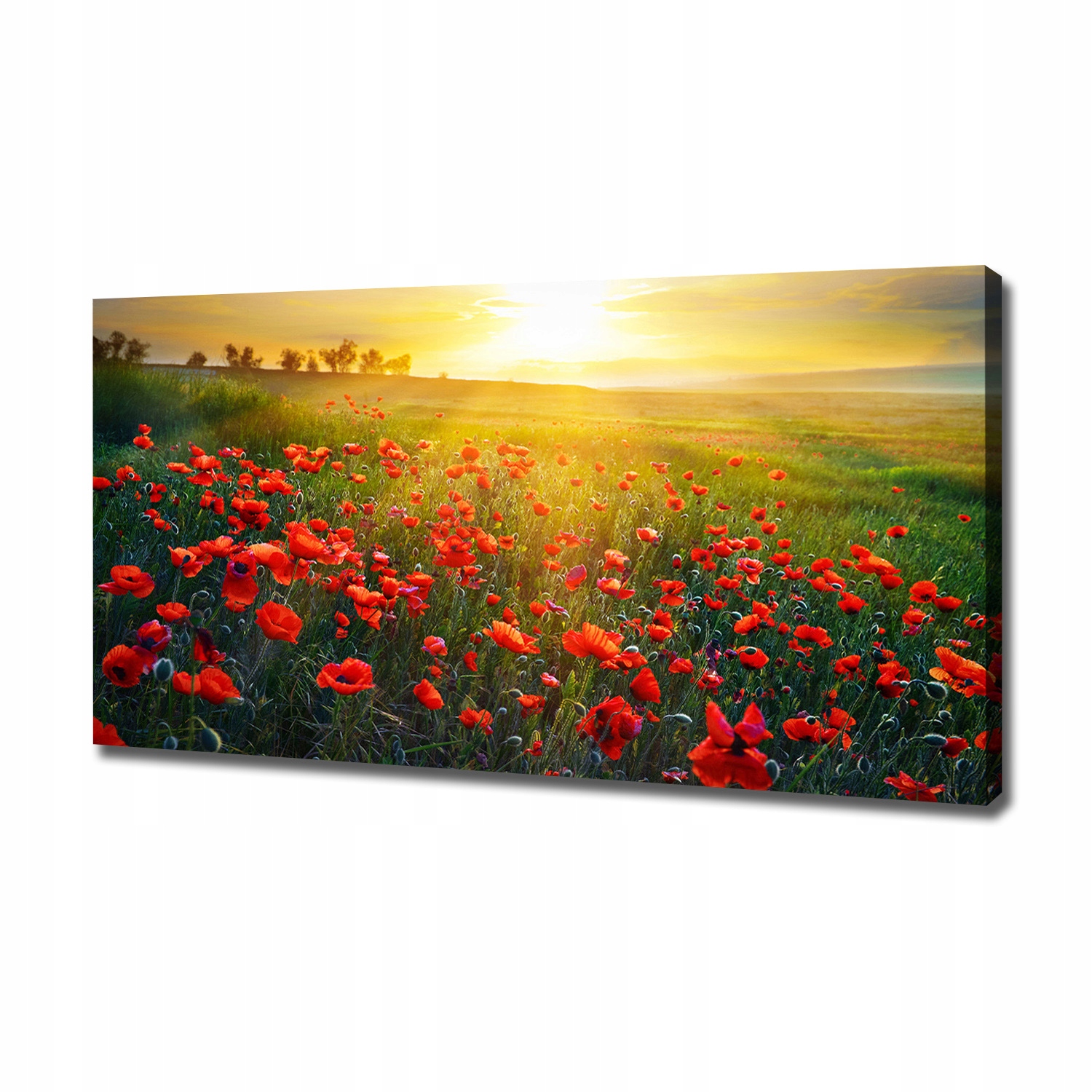 

Foto obraz canvas na ścianę Pole maków 120x60 cm