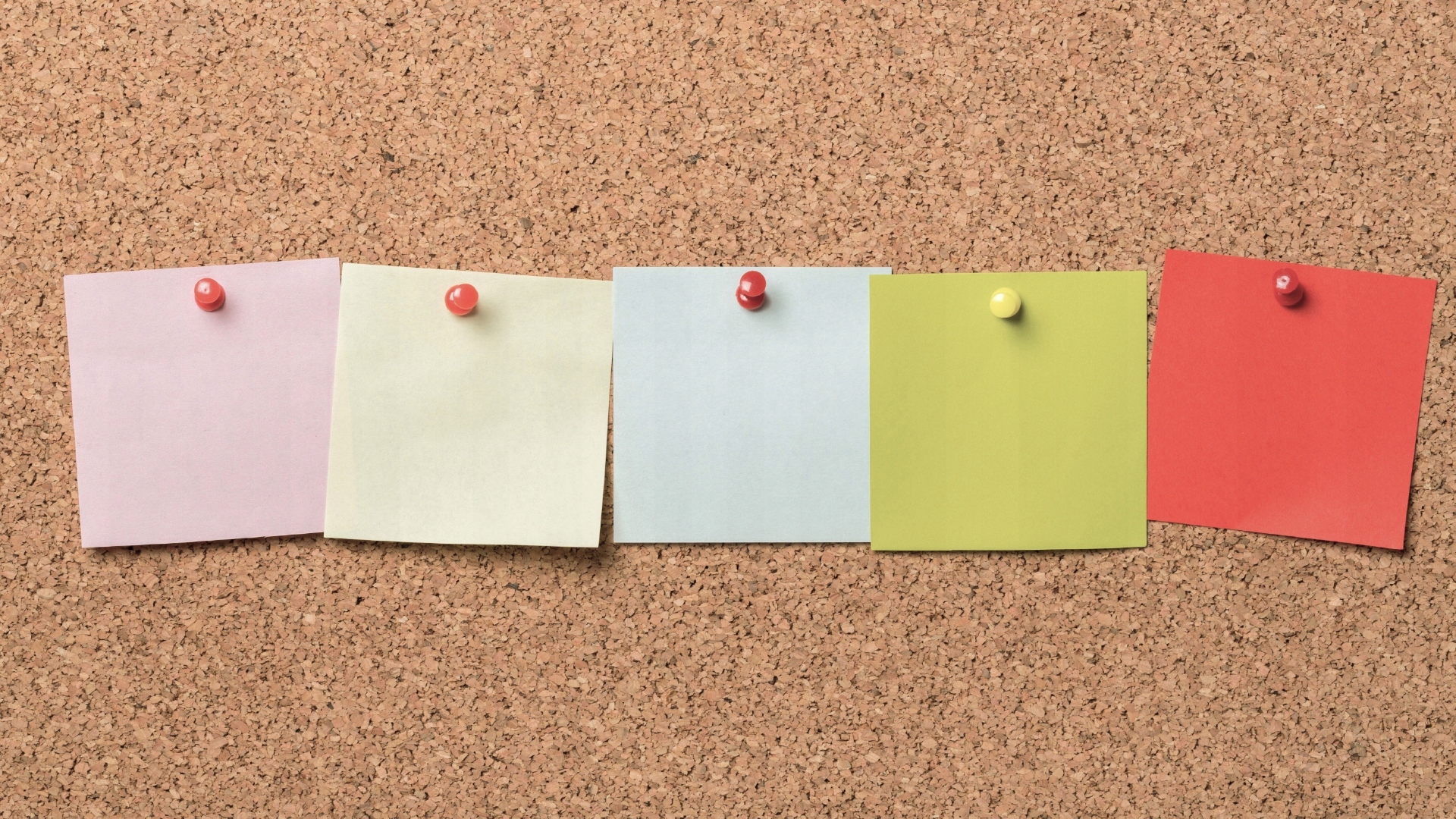 TABLICA KORKOWA DUŻA 100x80 DREWNIANA RAMA + ZESTAW PINEZKI KOMPLET GRATIS Rodzaj tablicy inne