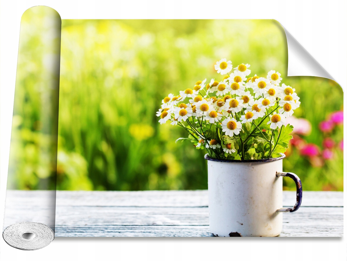 

Tapeta Samoprzylepna Kwiaty stokrotki 208x146