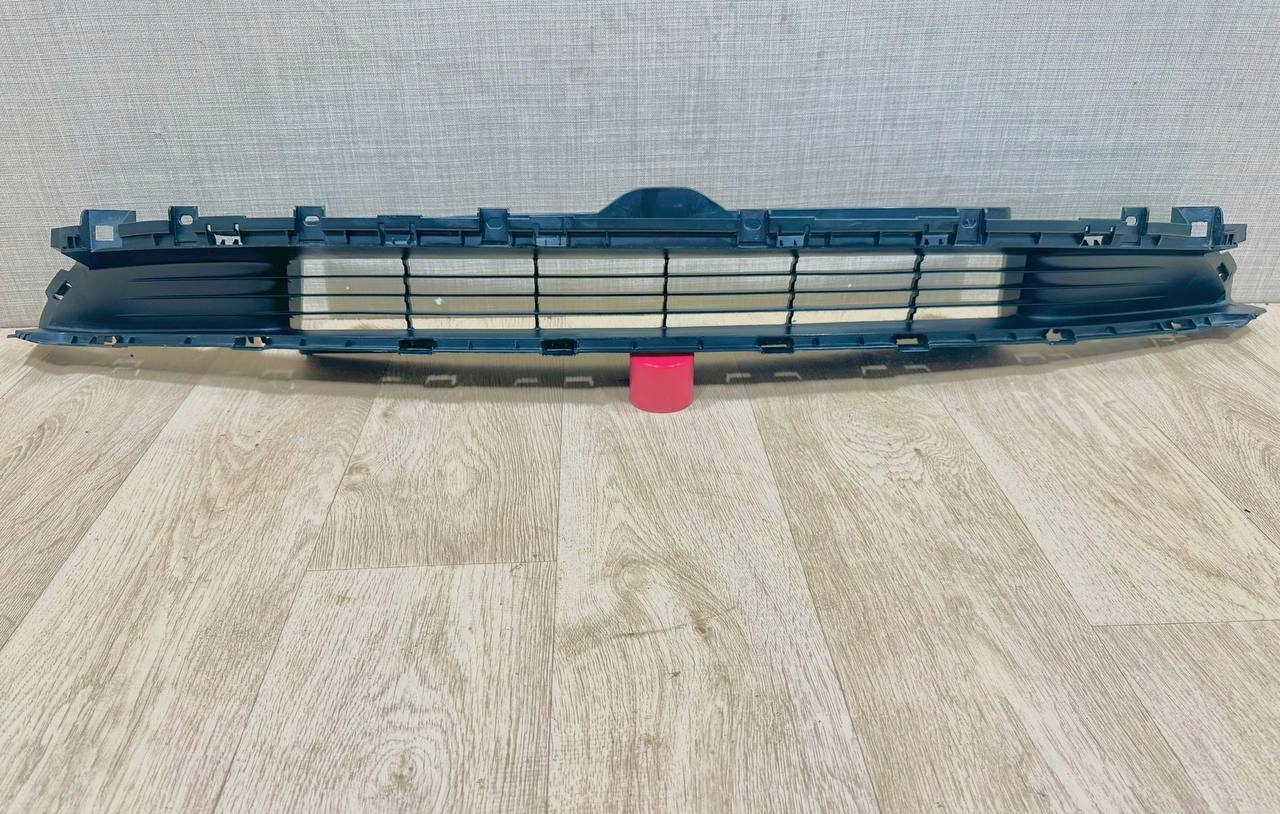 Tesla 3 2023- grid of a bumper front 1694311-00-F