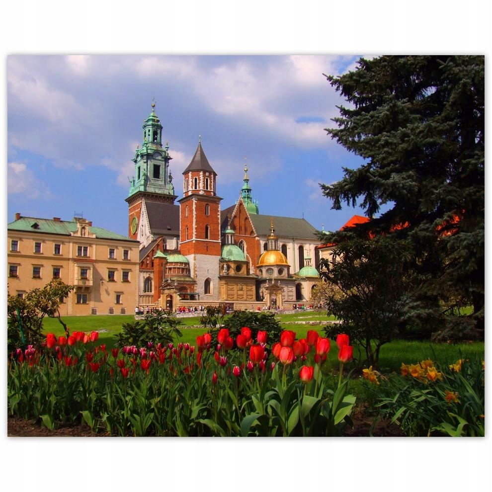 

Plakat 50x40 Kraków Wawel Zabytki