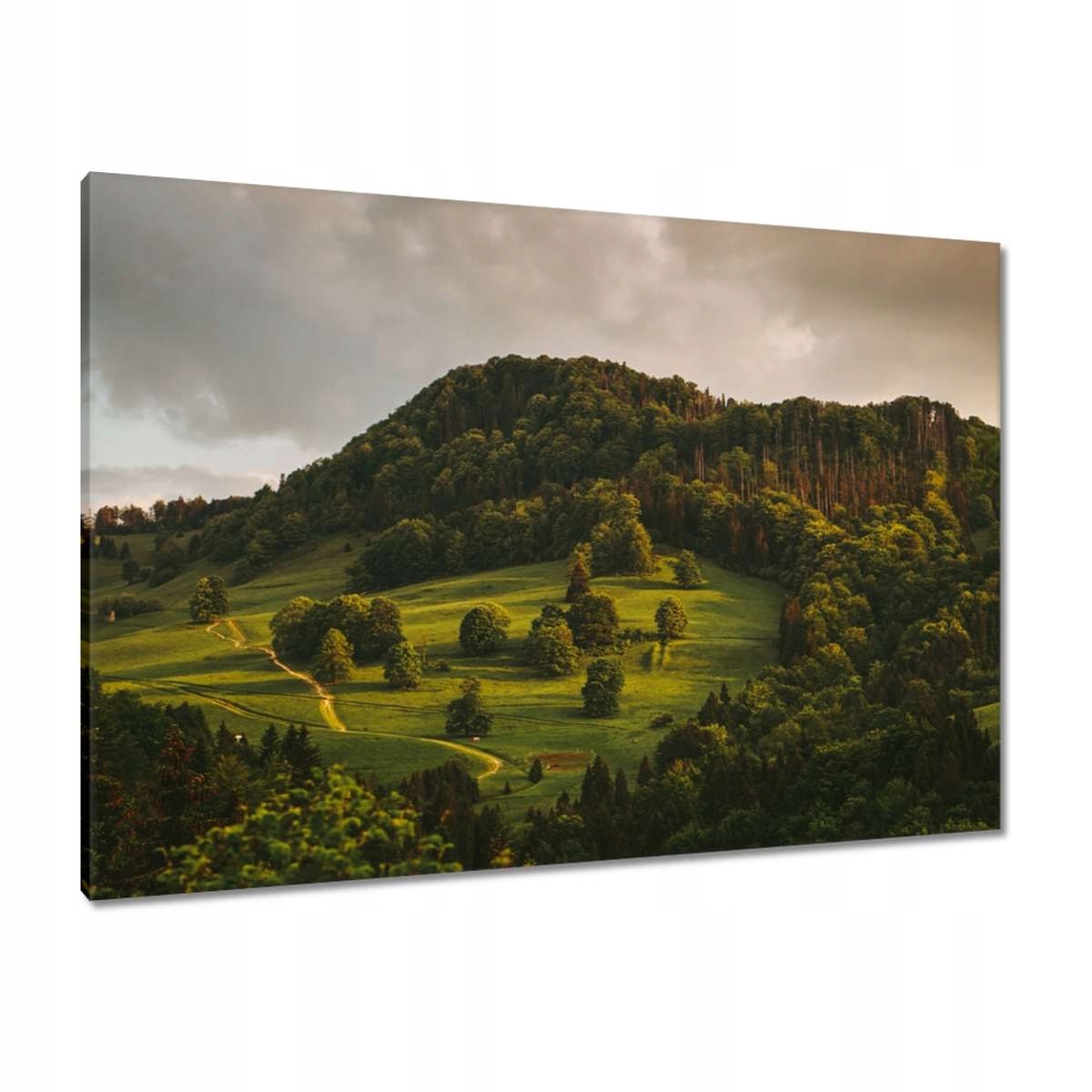 Obrazy 100x70 Krajina Pieniny