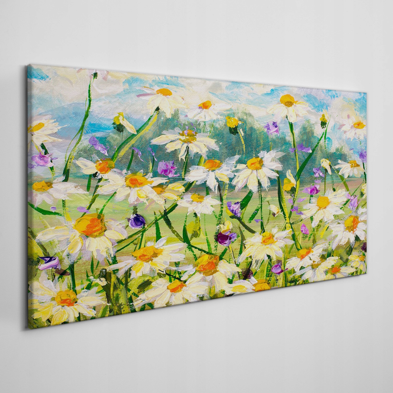 

Foto-obraz na ramie płótno Kwiaty natura 100x50 cm