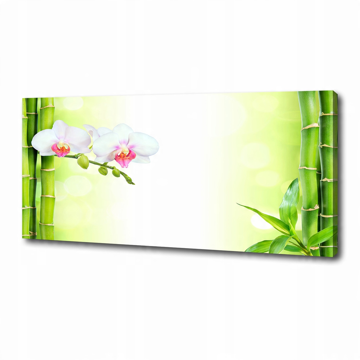 

Foto obraz na płótnie Orchidea i bambus 125x50 cm