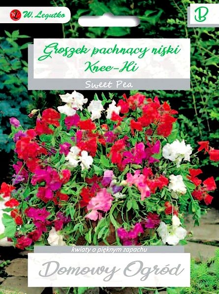 Nasiona Groszek pachnący czerwony, 3g — 8