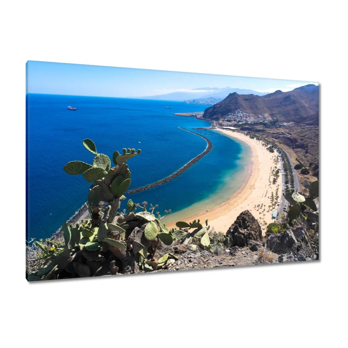 Obrazy 120x80 Pohled zpoza kaktusu
