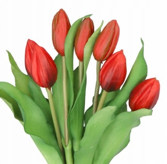 

Tulipany Bukiet Tulipanów Kwiaty Gumowe Jak Żywe