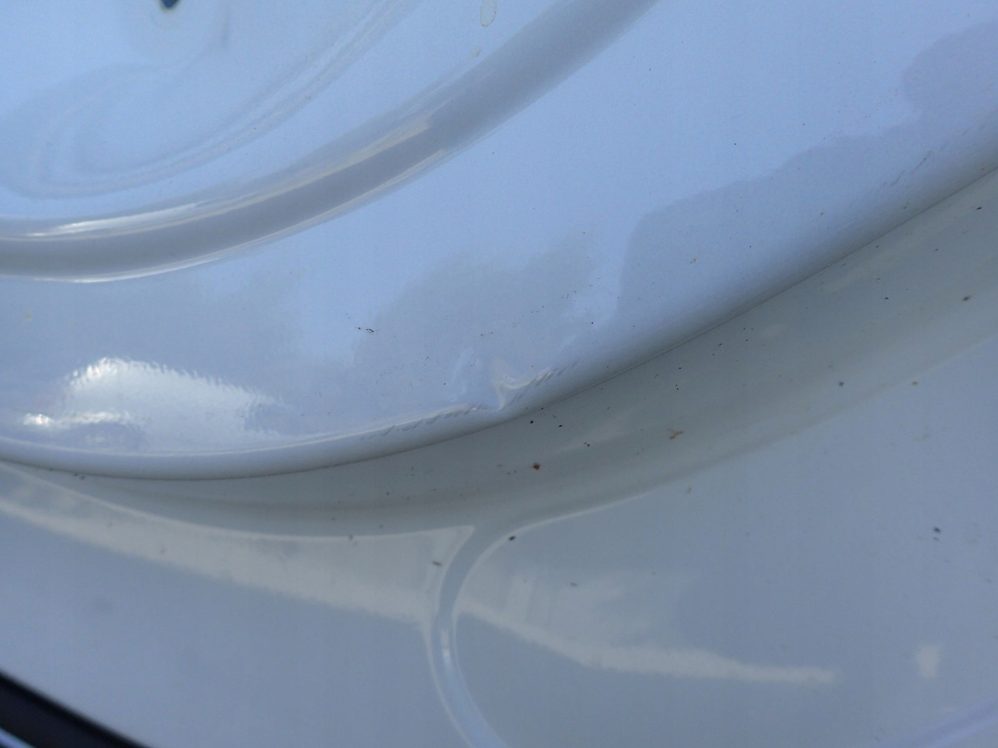 DRZWI PRAWE TYLNE TYŁ AUDI Q5 2 II 80F SPORTBACK Typ samochodu 4x4/SUV Samochody osobowe