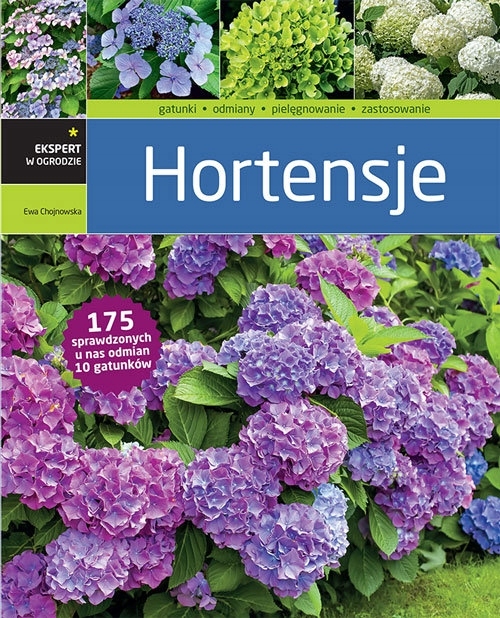 

Hortensje