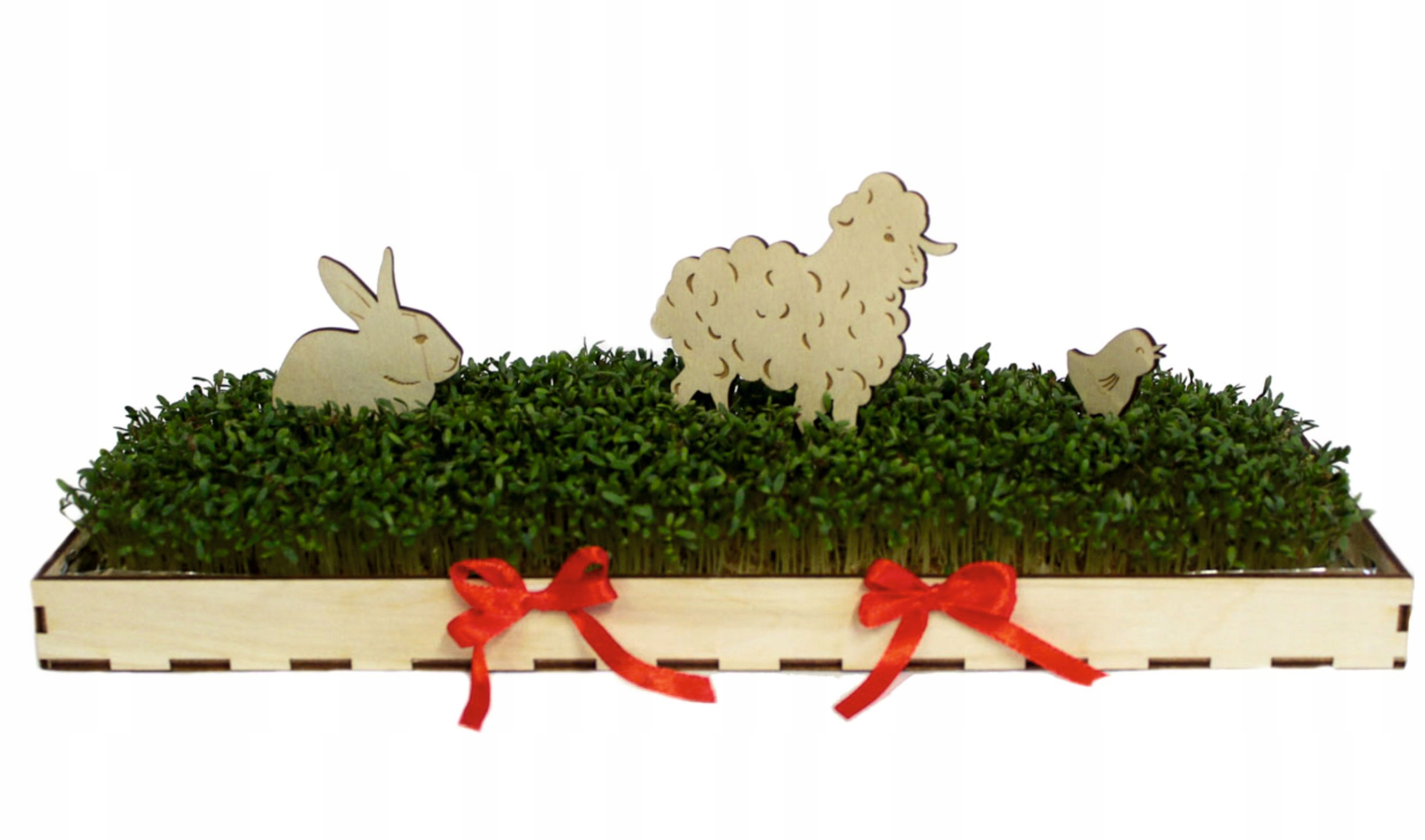 

Wielkanocny Stroik Na Stół Rzeżucha Owies pudełko