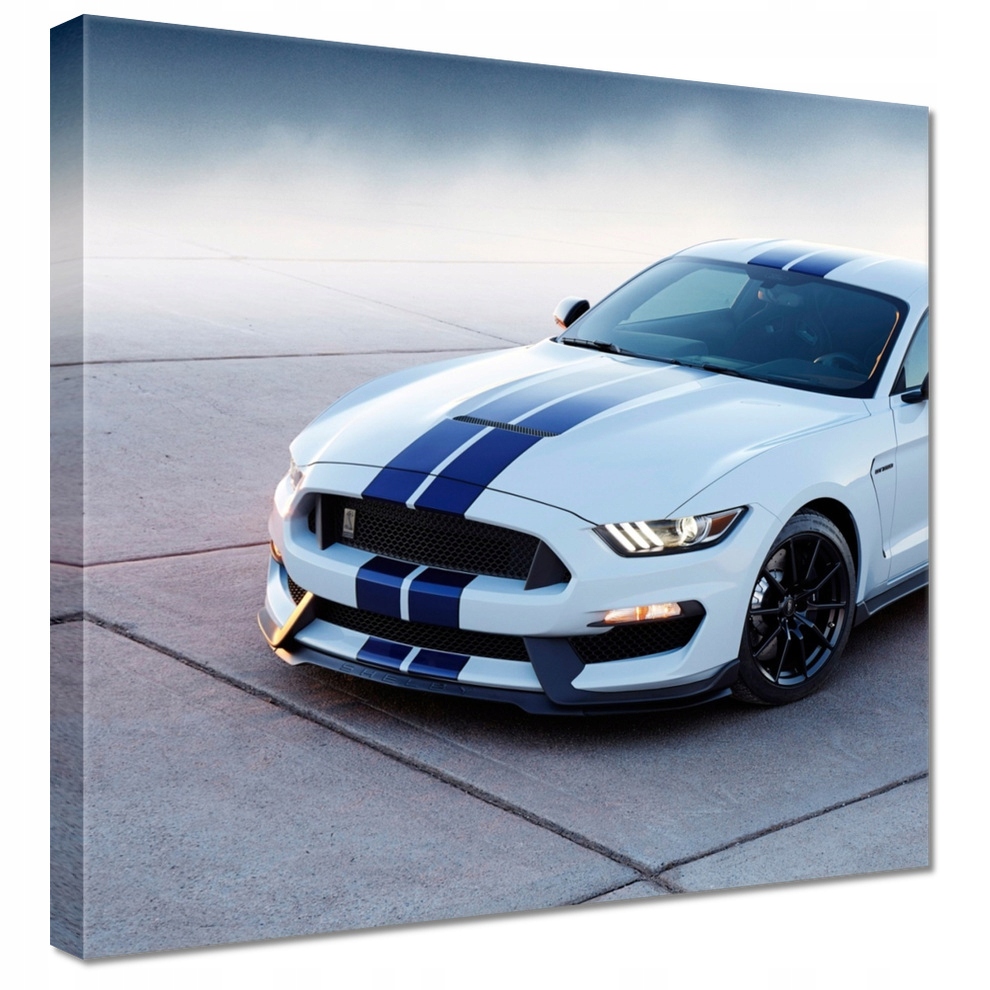 

Obrazy 40x40 Ford Mustang Shelby