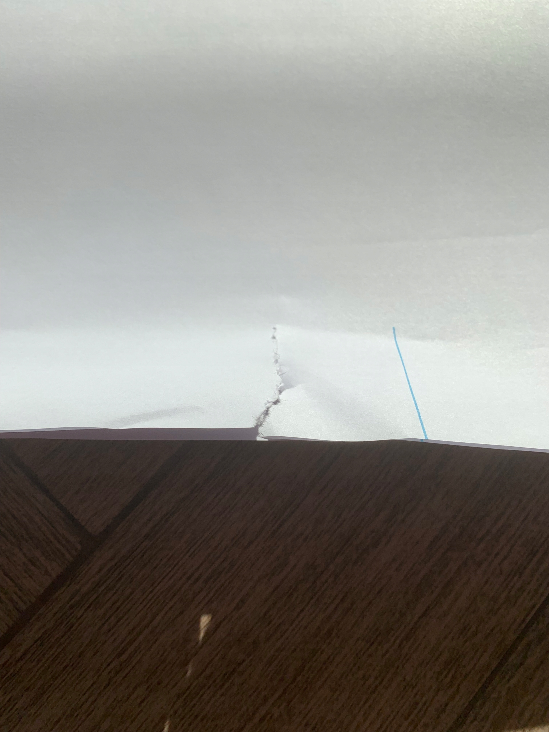 Herlitz 68 x 99 cm puste 20 arkuszy 5 szt Rodzaj flipcharta ścienny