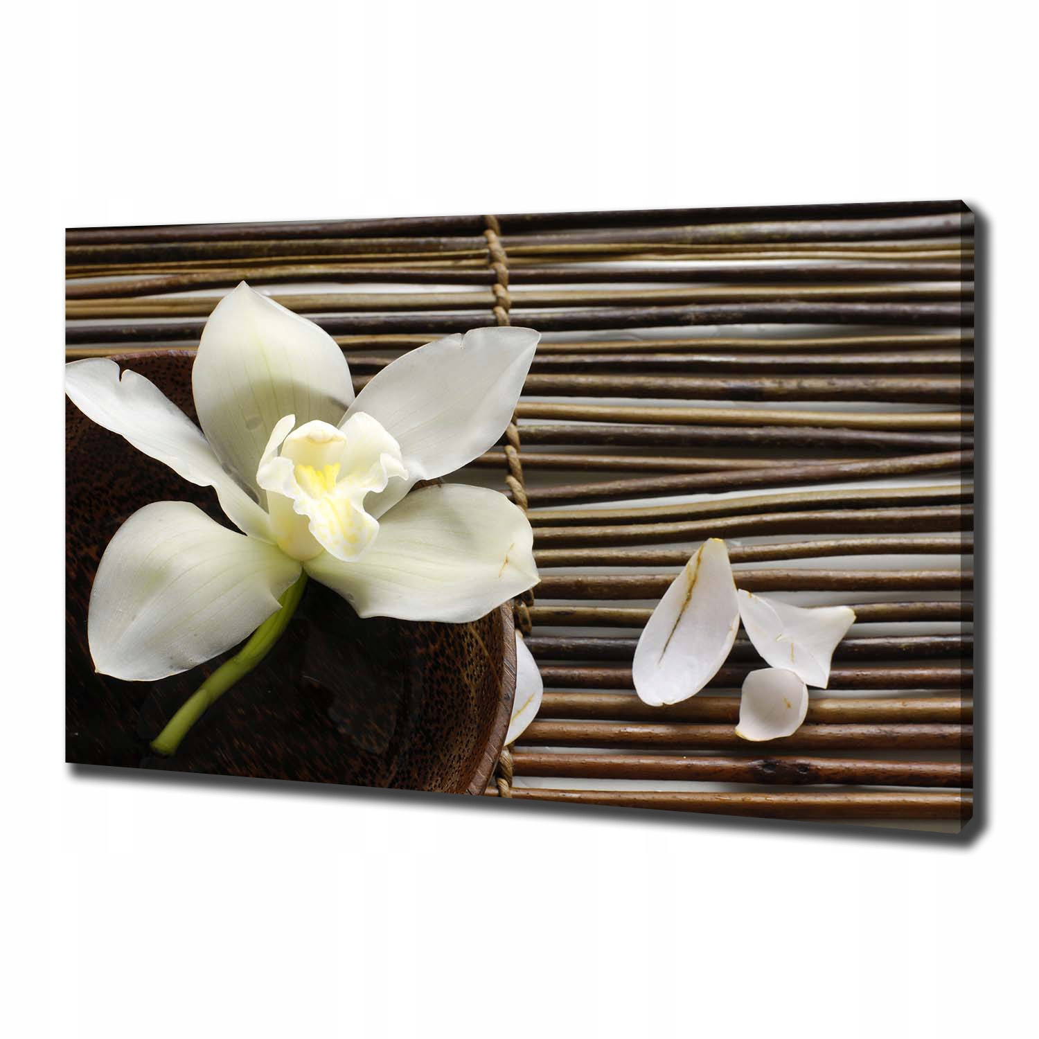 

Foto obraz canvas na ścianę Orchidea 100x70 cm