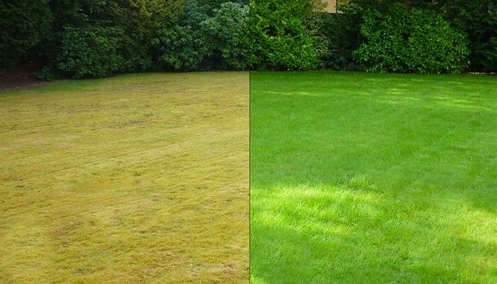 WAŁEK 400mm DO WERTYKULACJI AERATOR WERTYKULATOR Marka Bass