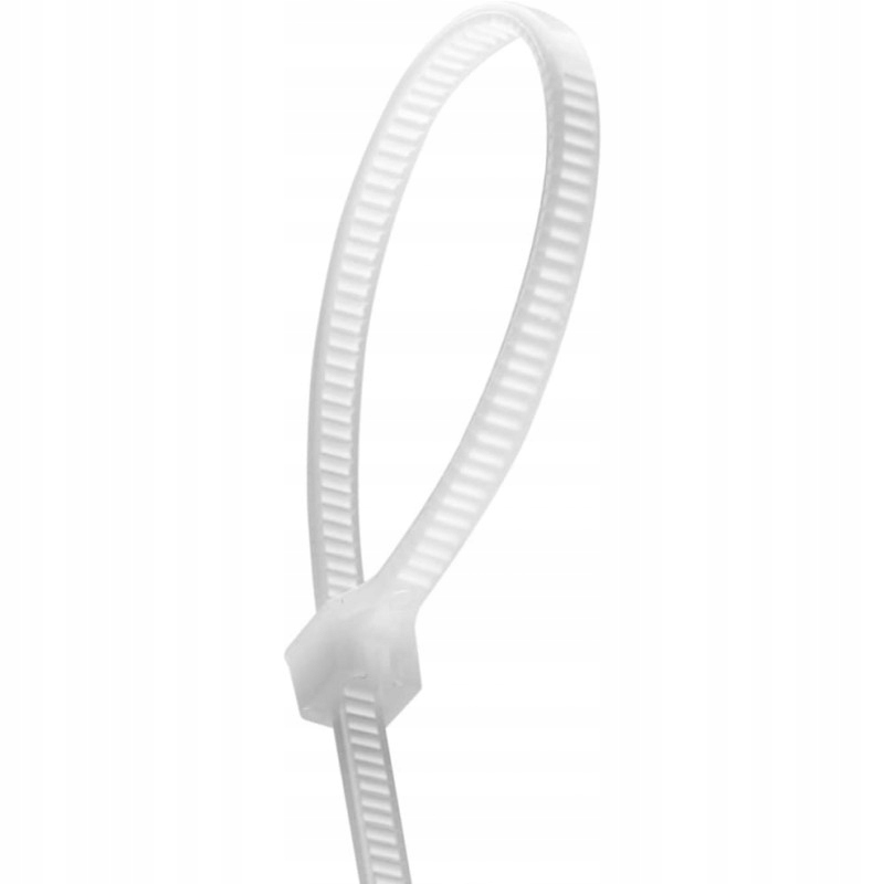 OPASKI ZACISKOWE TRYTYTKI BIAŁE 100SZT. 100X2,5 Marka Dantom