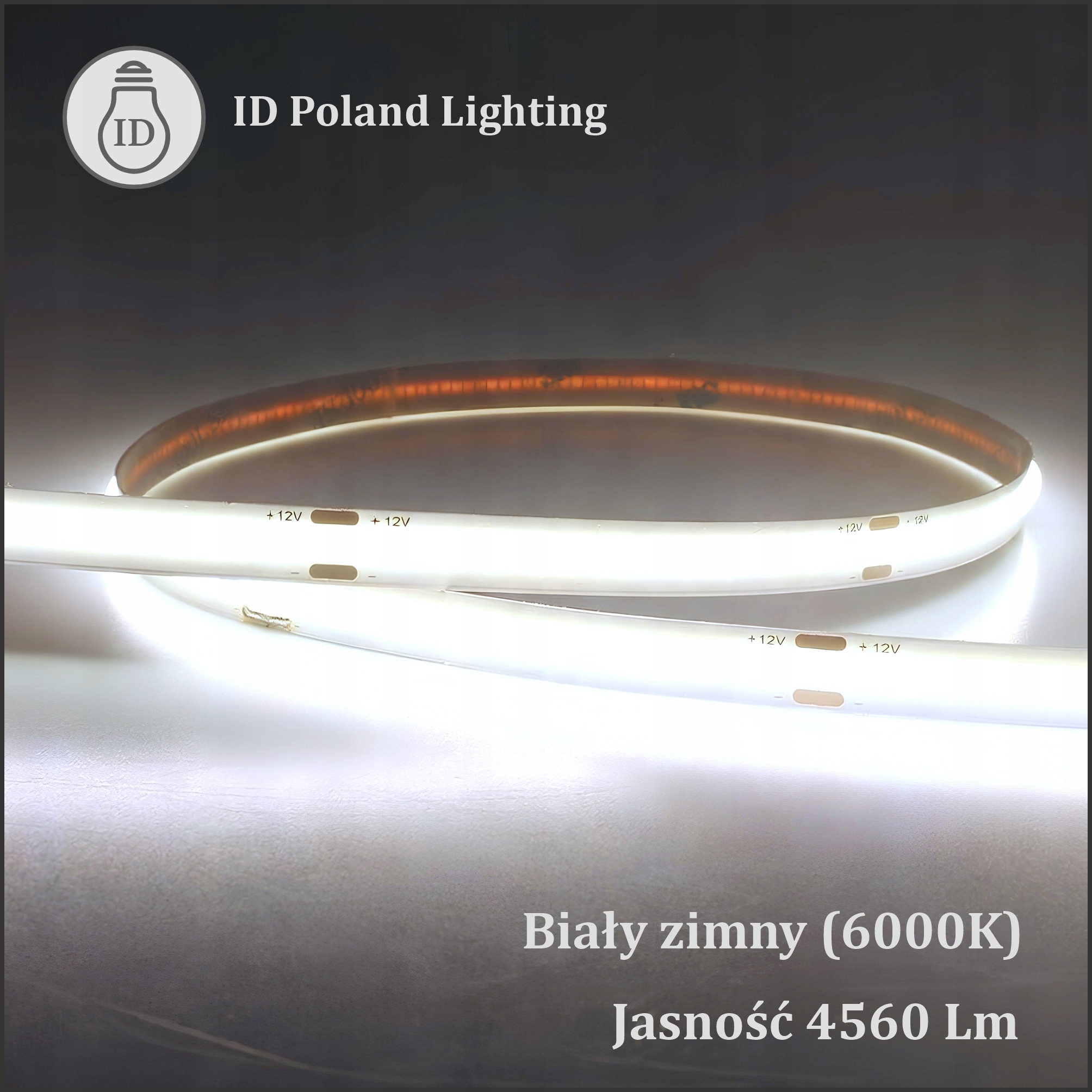 Taśma COB LED 12V 6000K zimna biała 320 LED/m 5m IP20