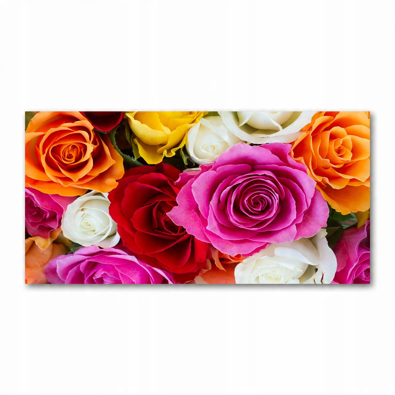 

Foto obraz akryl zdjęcie Kolorowe róże 120X60 cm