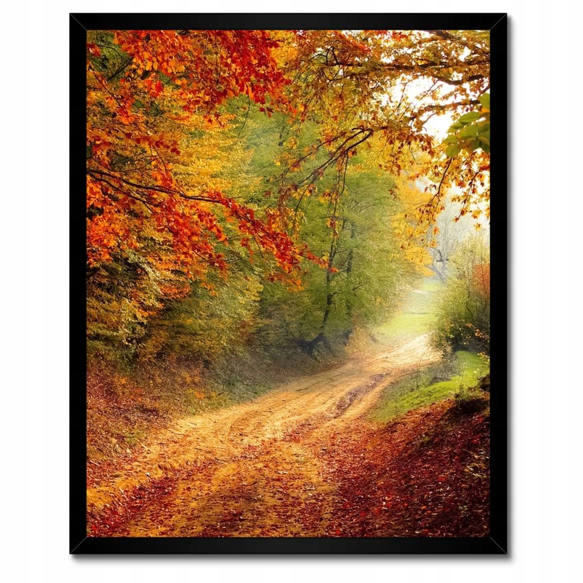 Plakáty v rámu 40x50 Cesta v lese podzim