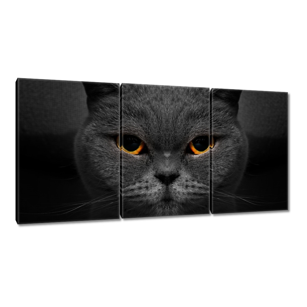 

Obrazy 240x120 Dostojny kot