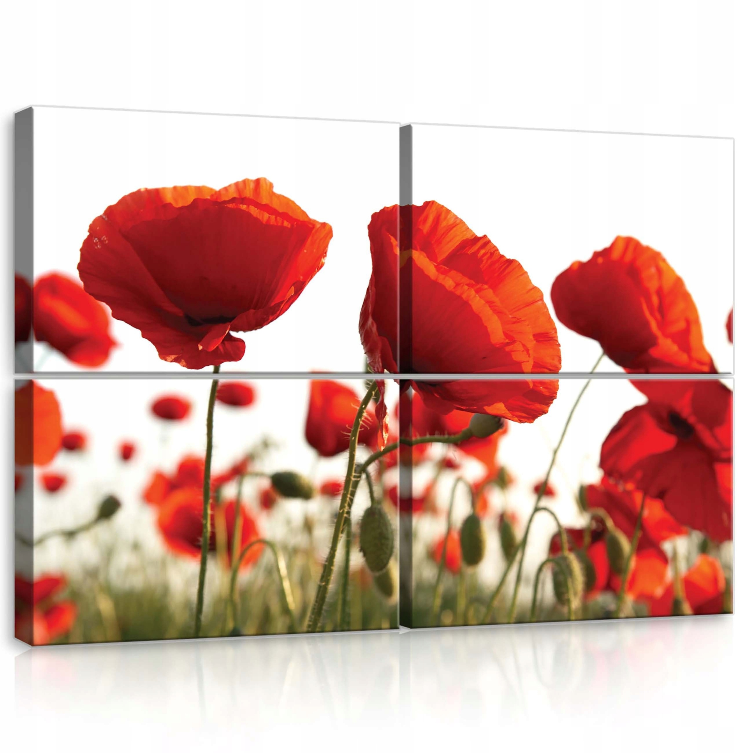 Obraz 120x80 Maky červené leto slnko príroda kvety pole dekor steny
