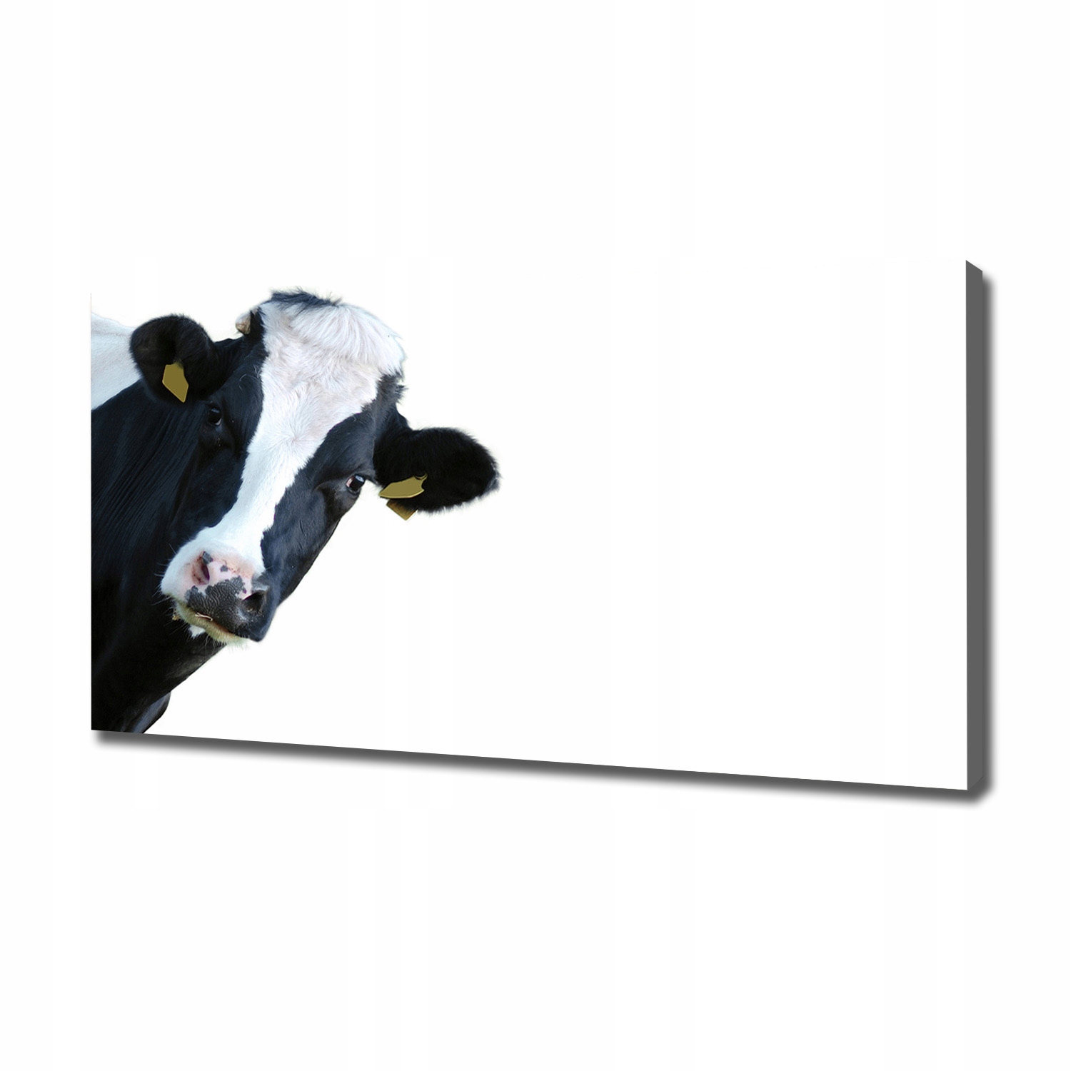 

Foto obraz ze zdjęcia do salonu Krowa 120x60 cm