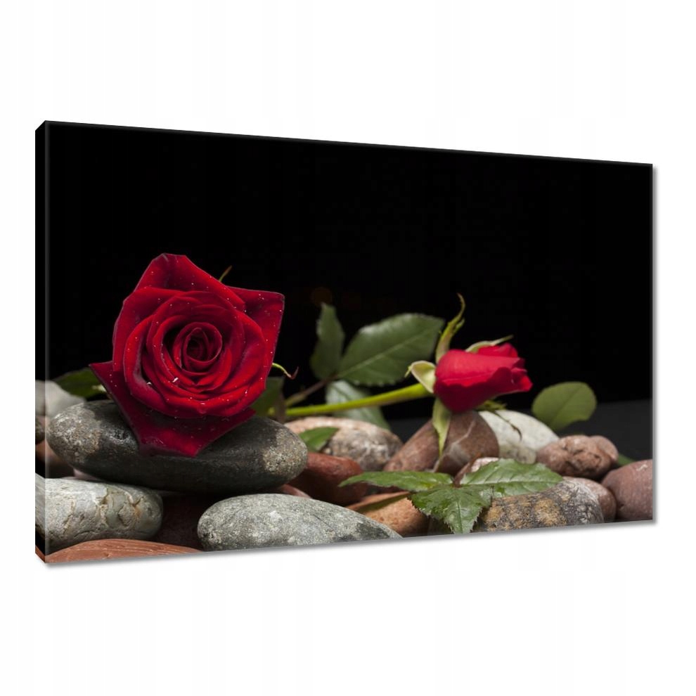 

Obrazy 90x60 Spa Wellness Relaks Woda