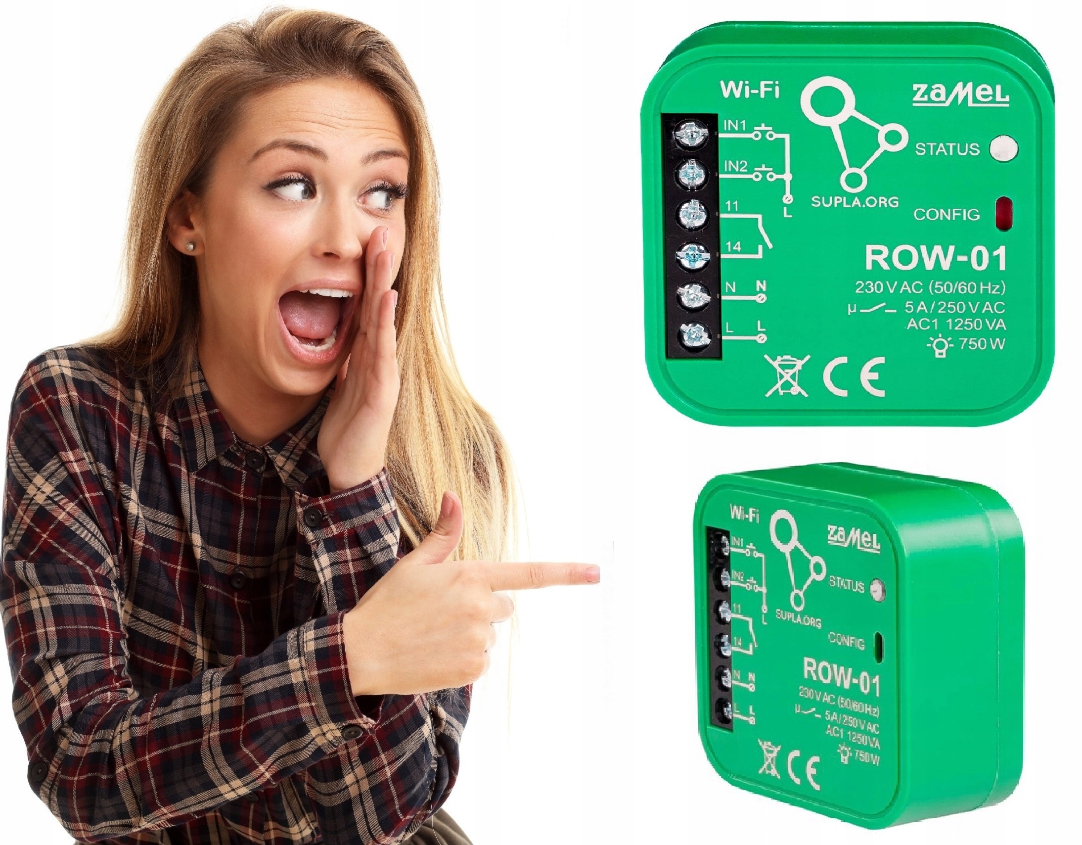 

Odbiornik Wi-fi Dopuszkowy 1-KANAŁOWY Zamel ROW-01