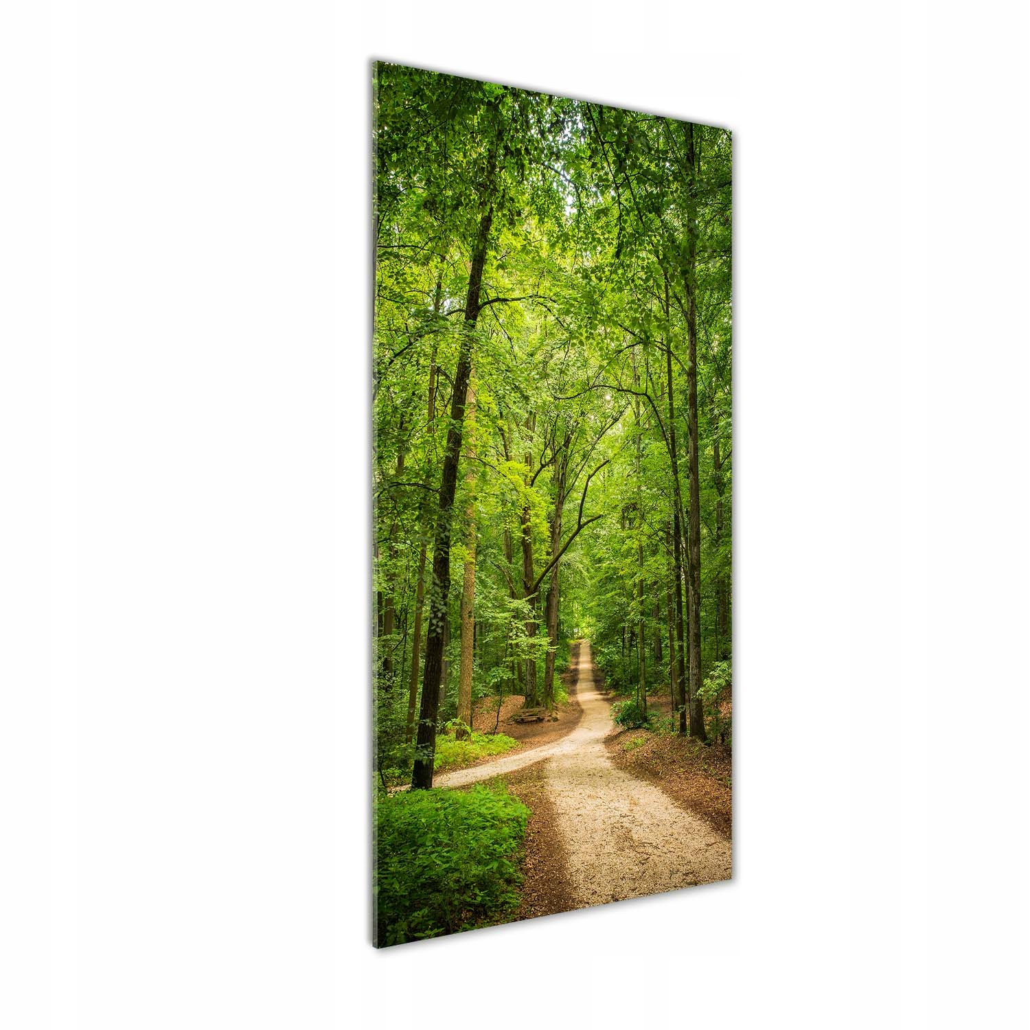 

Foto obraz na szkle pionowy Ścieżka w lesie 50x125