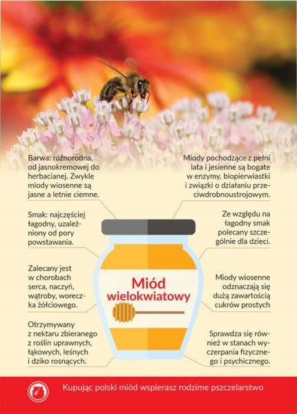 

Karta informacyjna A4 Miód Wielokwiatowy 1szt