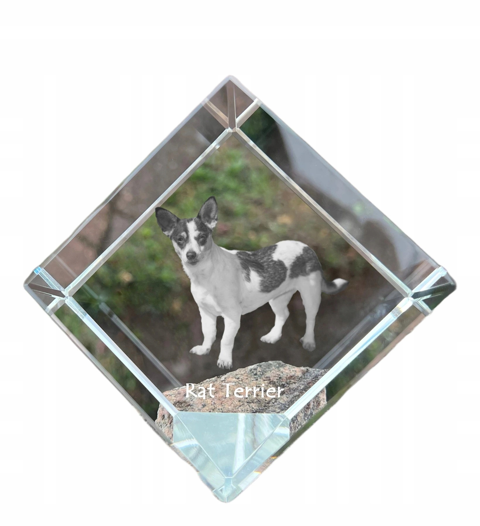 Rat Terrier krištáľová kocka s fotografiou psa, ozdoba na stôl, tlačidlo