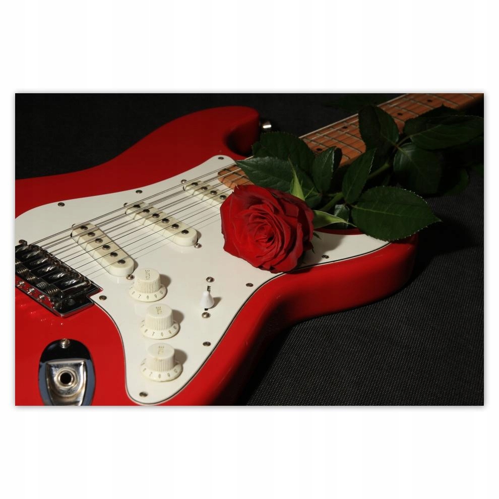 

Plakaty 60x40 Gitara elektryczna z różą