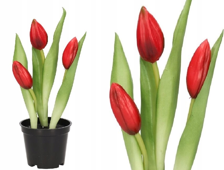 

Tulipany Bukiet Tulipanów Kwiaty Gumowe Jak Żywe