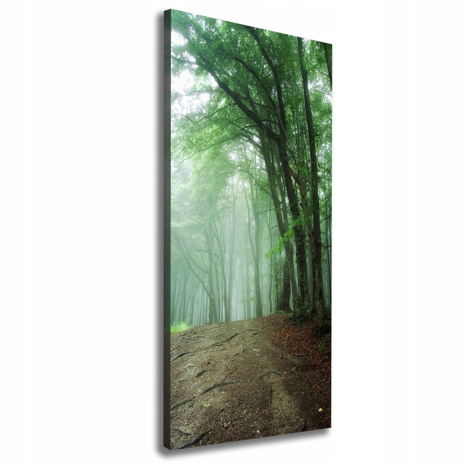 

Foto obraz canvas do salonu Mgła w lesie 50x125