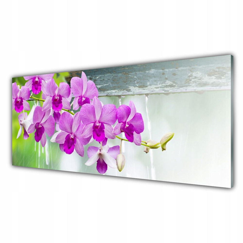 

Fotoobraz ścienny 125x50 Storczyki Krople Natura