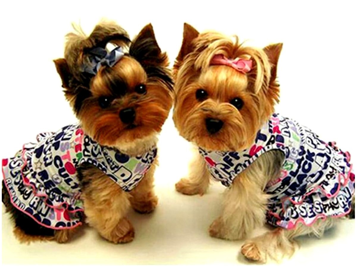 Malowanie Po Numerach Obraz do malowania NA RAMIE