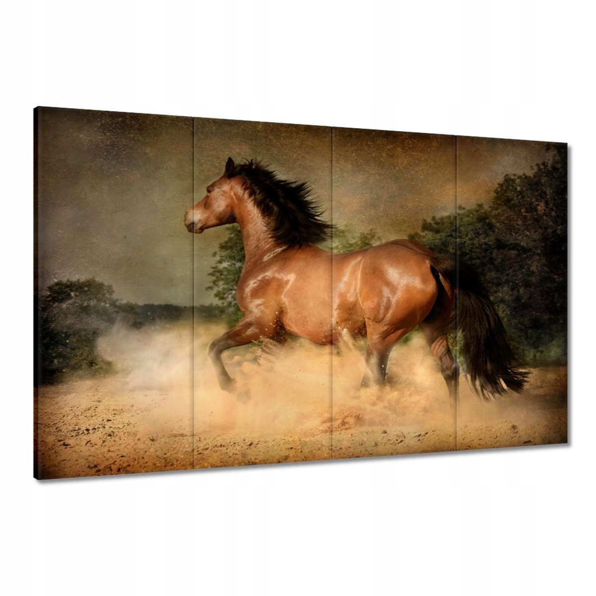 Obrazy 120x80 Kůň Koně Jezdectví