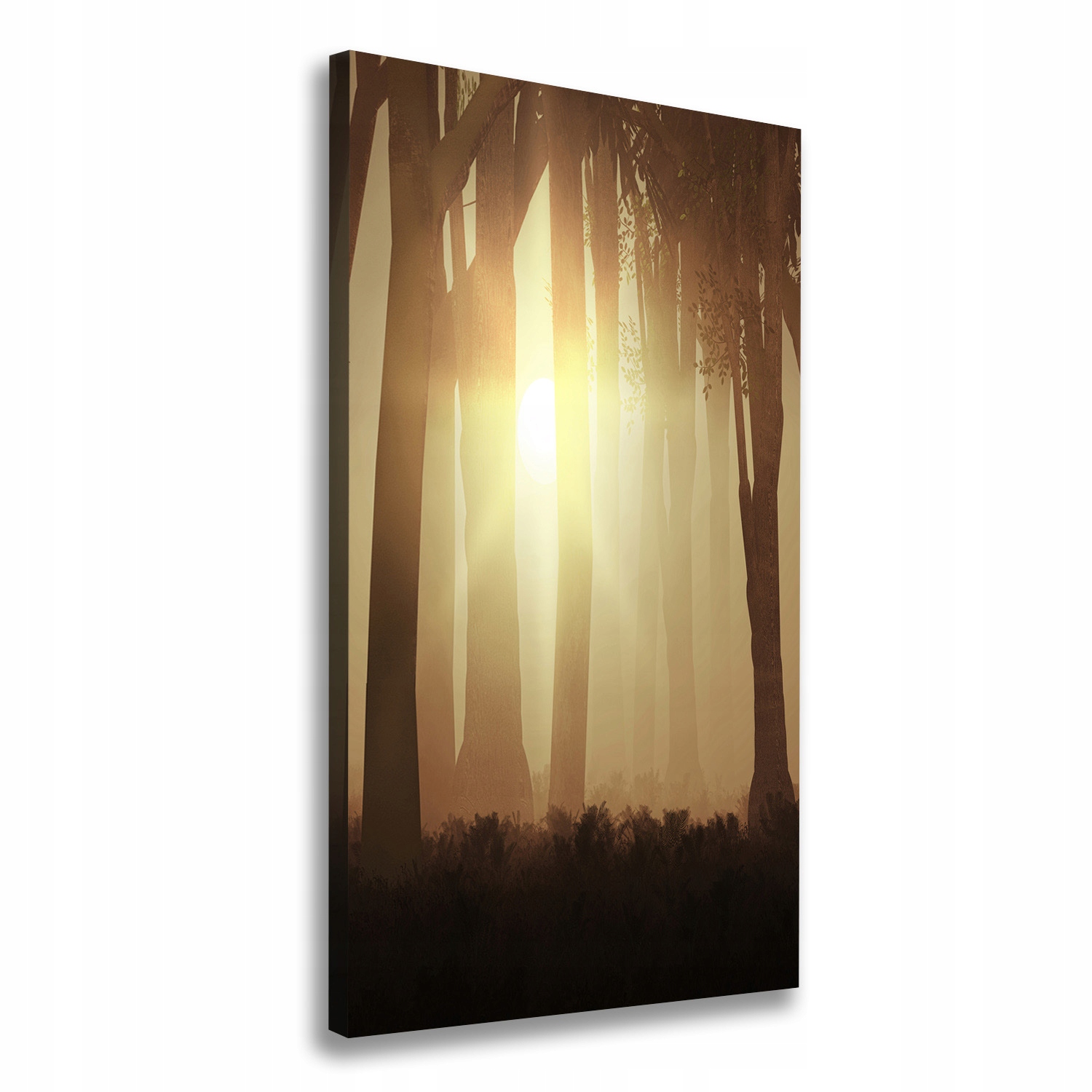 

Foto obraz canvas do salonu Mgłą w lesie 60x120