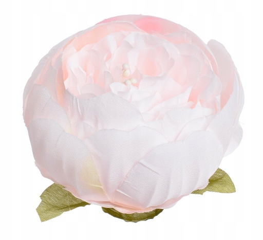 

Peonia Piwonia Główka Wyrobowa Pełna 8cm