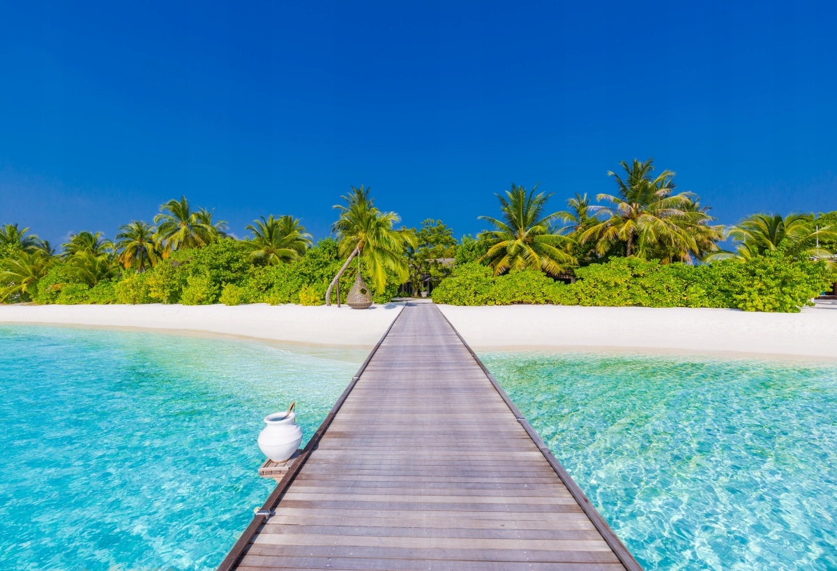 

Fototapeta Flizelinowa Plaża Palmy - 104x70