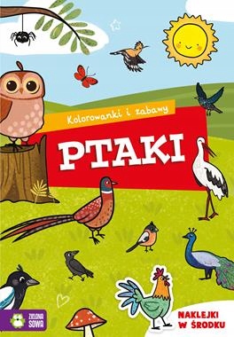 Ptaki Kolorowanki i zabawy Naklejki Nowa-Zdjęcie-0