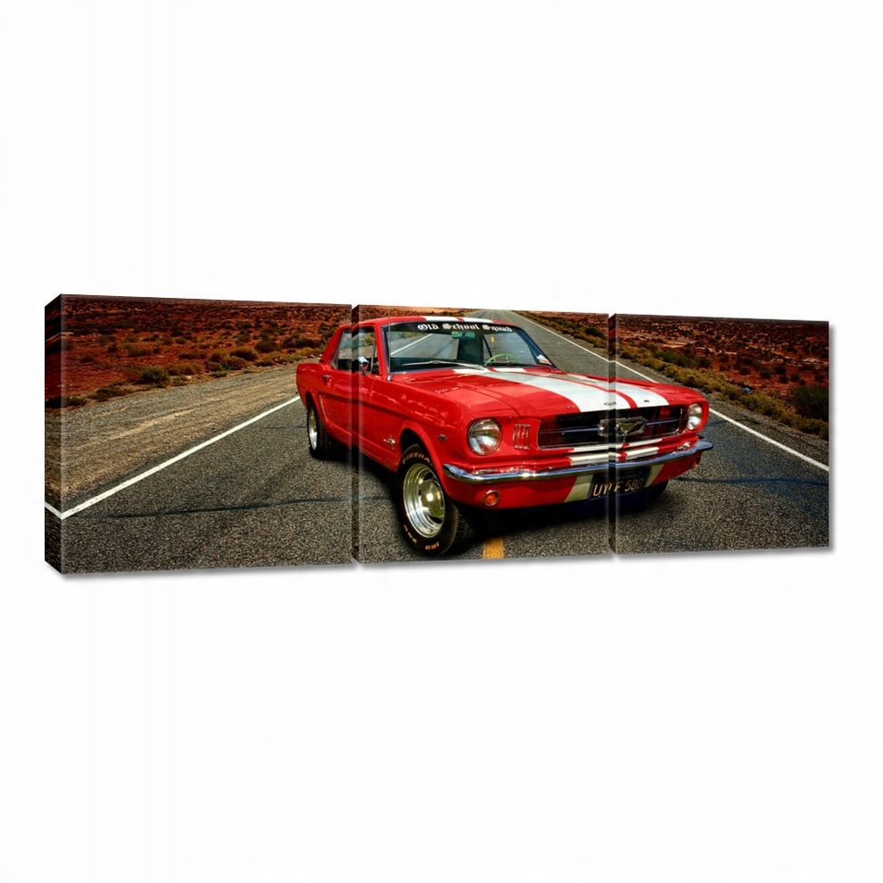 

Obrazy 120x40 Ford Mustang Autostrada