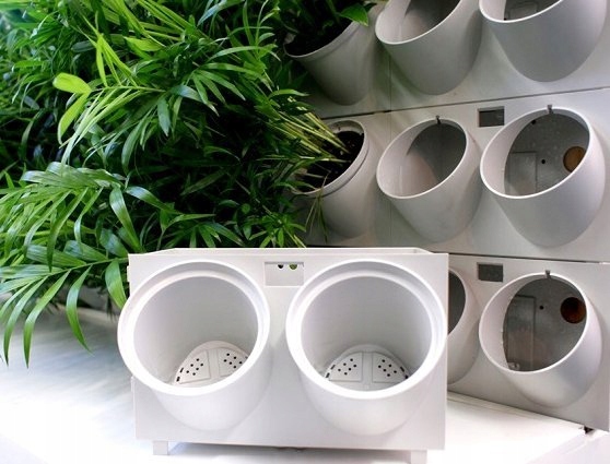 

Zielona Ściana Ogród wertykalny duży moduł PG14