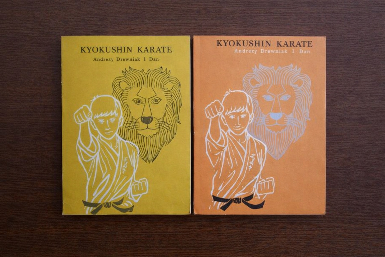 Kyokushin Karate tom 1 2 Drewniak