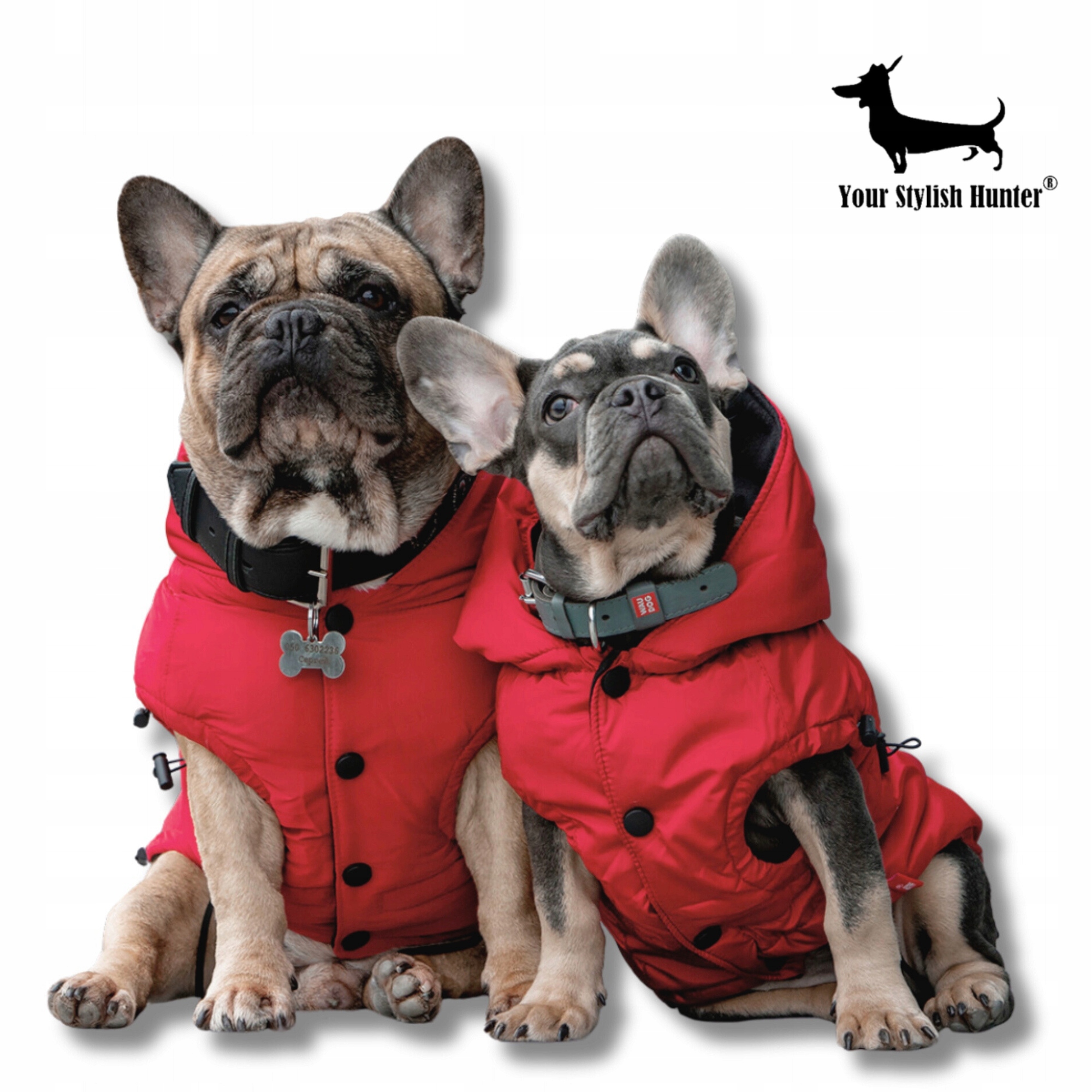 Levně Teplá lehká péřová bunda pro francouzského buldočka na zimu červená S