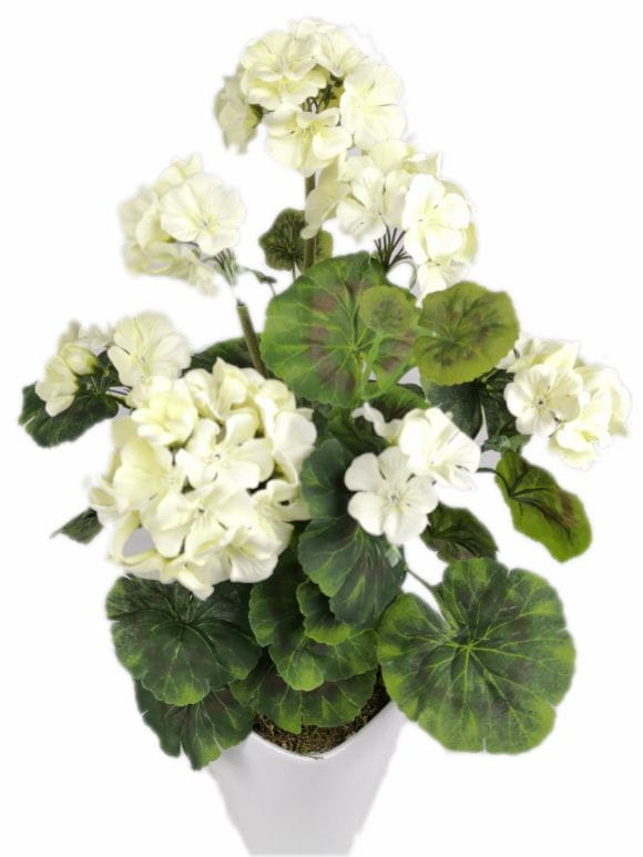 

Pelargonia sztuczna Bukiet krem biel (2295.7a)