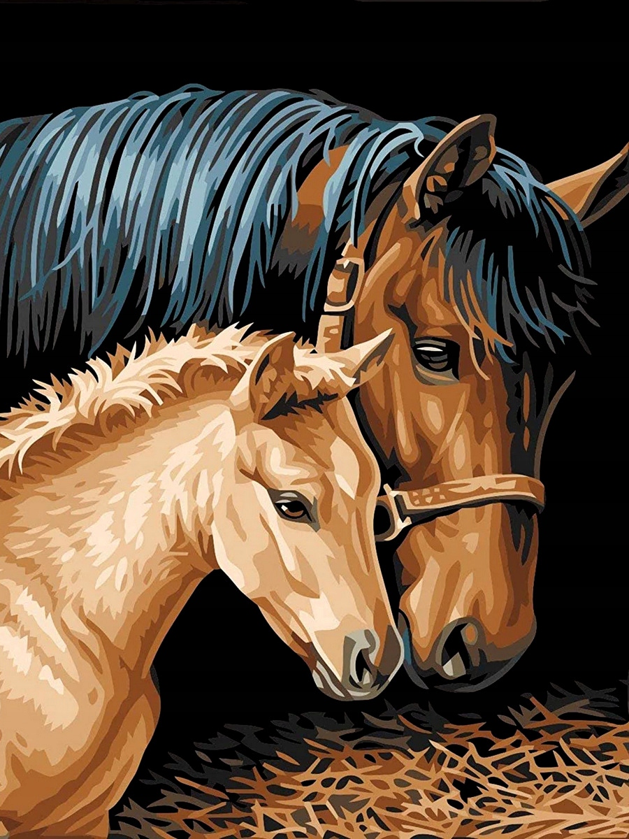 

Obraz do malowania po numerach z Ramą Dla Dziecka