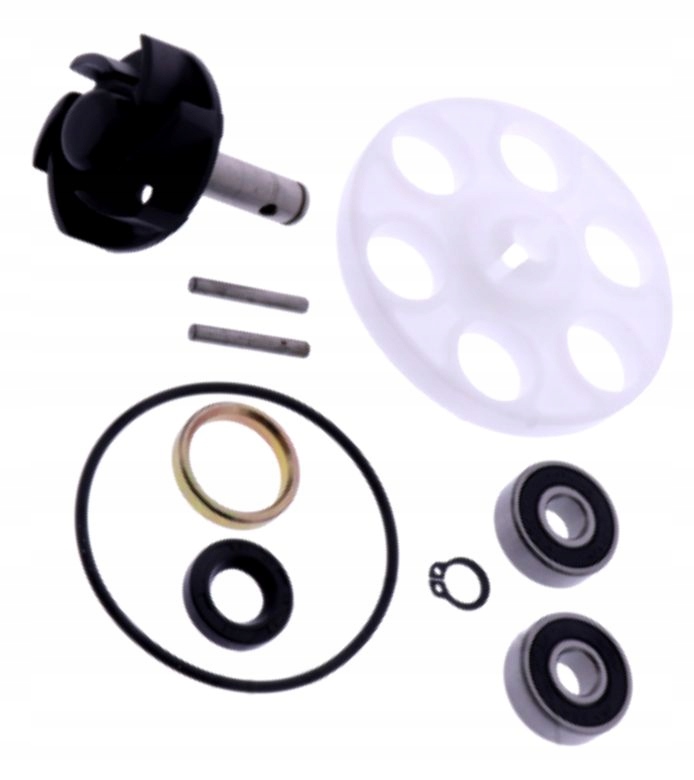 Komplet Pro Opravu Vodního Čerpadla Benelli 491 50 K2 Naked Pepe Beta Ark Eikon