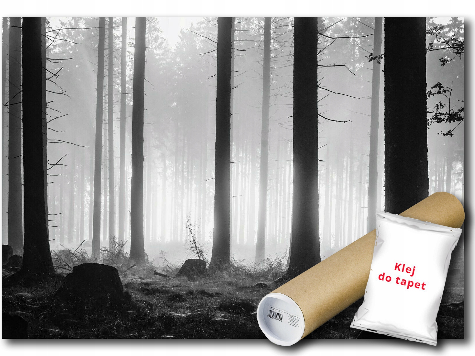 Vinylová Fototapeta Les Stromy Krajina Pohled B&w Příroda 152x104