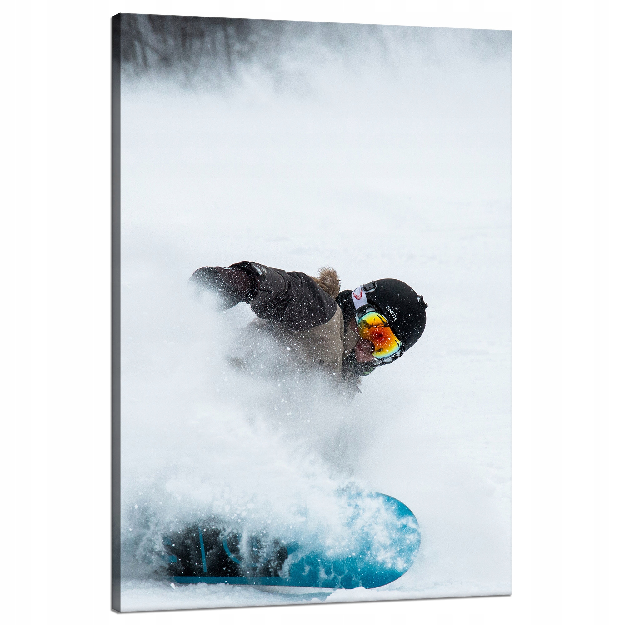 Obraz na plátně Snowboard Sníh Zima 80x120